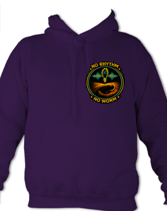 Walk Without Rhythm Hoodie – Desert Rhythm Protocol